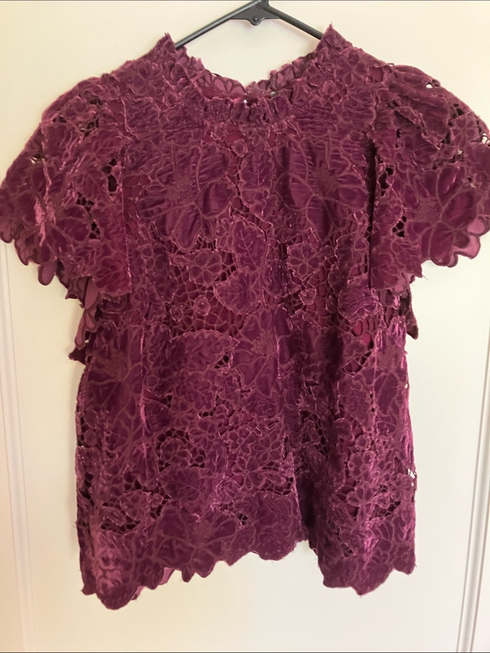 Anthropologie Plum Velvet Lace Flutter Sleeve Blouse
